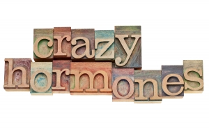 crazy hormones - isolated words in vintage letterpress wood type stained by color inks